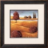 Field and Stream IV