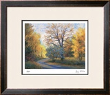 Autumn Road