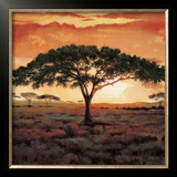Masai Tree