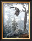 Buy Shrouded Forest at AllPosters.com