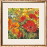 Oriental Poppy Field I