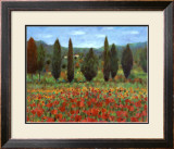 Buy Poppies at AllPosters.com