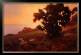 Buy Golden Light at Sunset at AllPosters.com