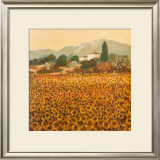 Buy Late Summer, Tuscany at AllPosters.com