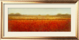 Buy Field of Poppies at AllPosters.com