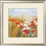 Poppies and Larkspur I