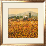 Buy Late Summer, Tuscany at AllPosters.com
