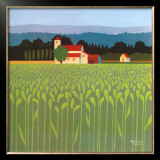 Spring Wheat Field