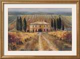Toscan Vigna