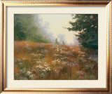 Buy Septembers Wild Asters at AllPosters.com
