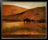 Morning Meadow