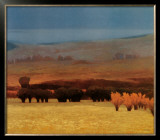 Buy In the Earth Shadow at AllPosters.com