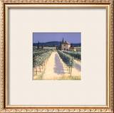Buy Vineyard Shadows at AllPosters.com