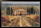 Toscan Vigna
