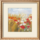 Poppies and Larkspur I