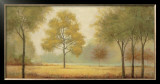 Tranquil Panorama