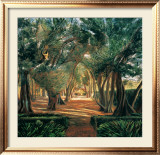 Buy Allee of Olives at AllPosters.com