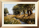 Buy Summer Brook at AllPosters.com