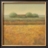 Buy Grey Trees at AllPosters.com