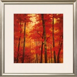 Buy Vermilion Wood at AllPosters.com