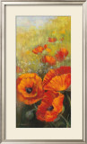 Orange Poppy Panel