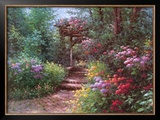 Buy Woodland Walk at AllPosters.com