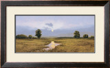 Buy Evening on a Marsh at AllPosters.com