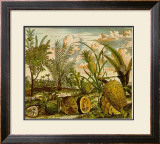 Buy Tropical Fruits I at AllPosters.com