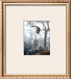 Buy Shrouded Forest at AllPosters.com
