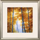 Buy Blue Wood Canopy at AllPosters.com