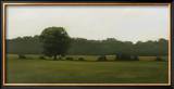 Buy Resting Place at AllPosters.com