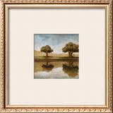 Buy Reflection at AllPosters.com