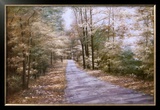 Autumn Path