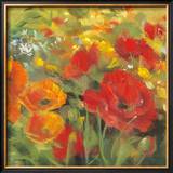 Oriental Poppy Field I