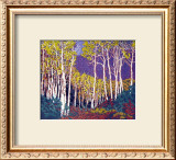 Buy Aspen, Red River at AllPosters.com