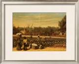 Picking Cotton