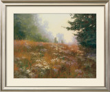 Buy Septembers Wild Asters at AllPosters.com