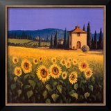 Buy Golden Warmth at AllPosters.com