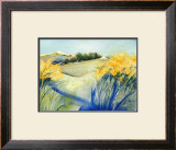 Buy Nice Valley to Play In at AllPosters.com
