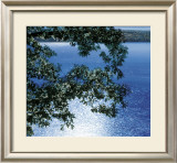Silver Light, 2006
