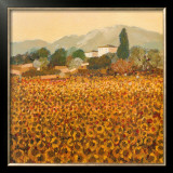 Buy Late Summer, Tuscany at AllPosters.com
