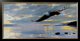 Dawn Flight