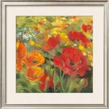 Oriental Poppy Field I