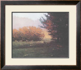 Buy Montlake Hedge at AllPosters.com