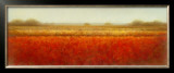 Buy Field of Poppies at AllPosters.com
