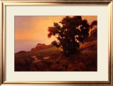 Buy Golden Light at Sunset at AllPosters.com