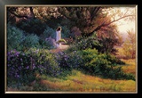 Buy Morning Stroll at AllPosters.com