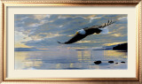 Dawn Flight