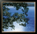 Silver Light, 2006