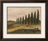 Buy Shady Tuscan Road at AllPosters.com